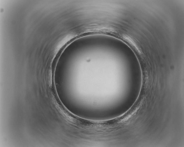 X0000087391079200704201236