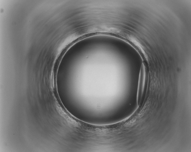 X0000087391080200704201236