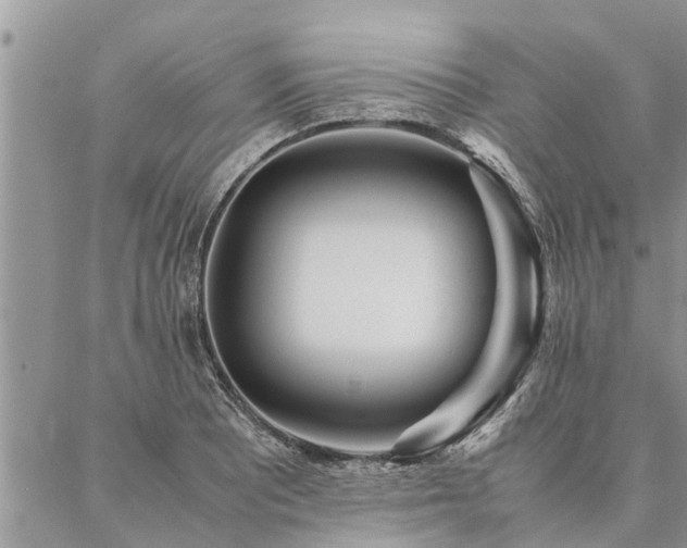 X0000087391081200704201236