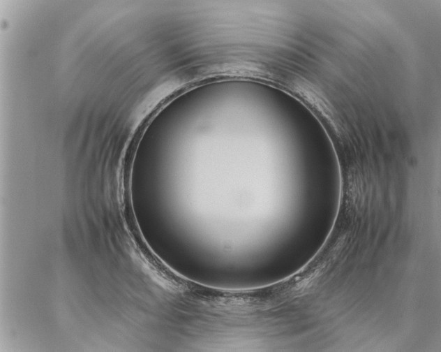 X0000087391082200704201236