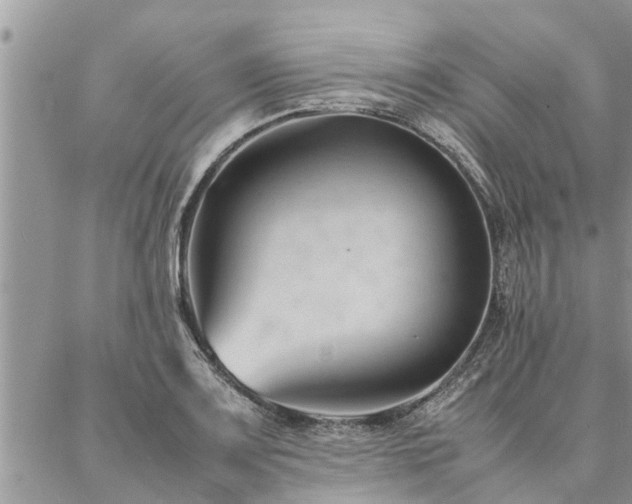 X0000087391083200704201236