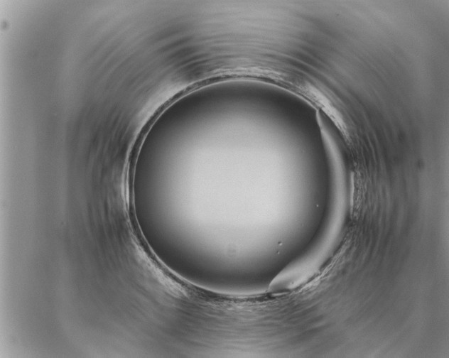 X0000087391084200704201236