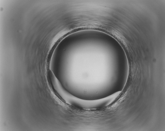 X0000087391085200704201236