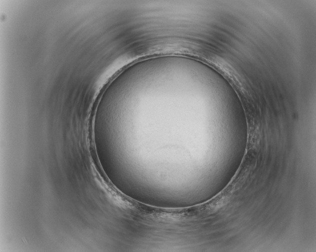 X0000087391086200704201236