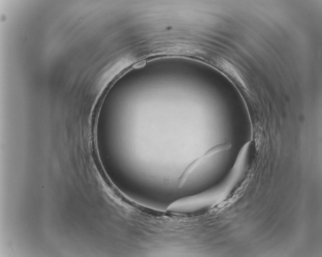 X0000087391087200704201236