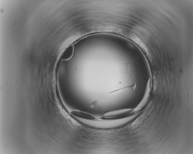 X0000087391088200704201236