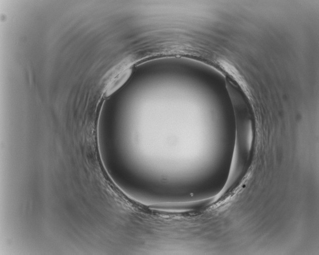 X0000087391089200704201236