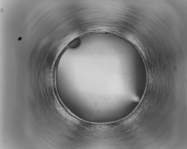 X0000087391090200704201236