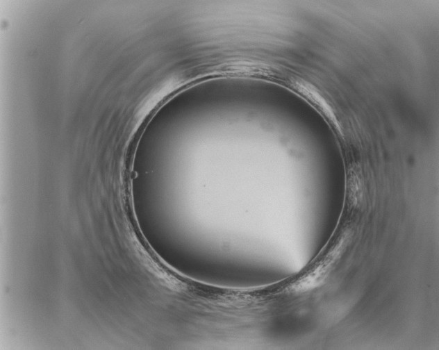 X0000087391091200704201236