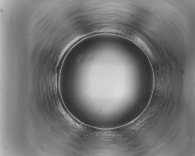 X0000087391092200704201236