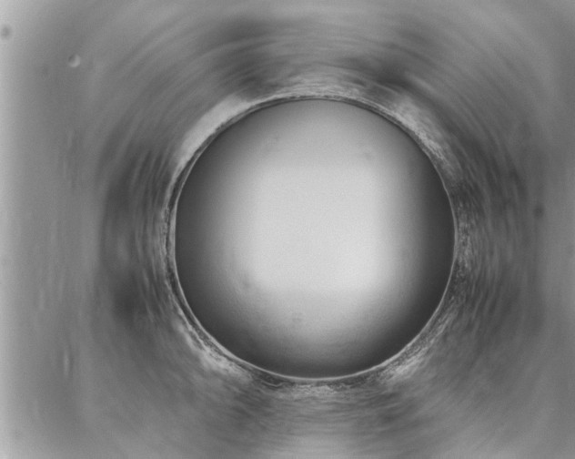 X0000087391094200704201236