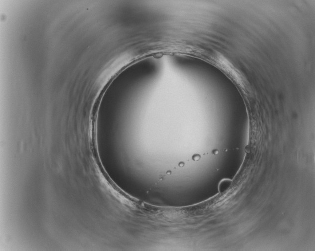 X0000087391095200704201236