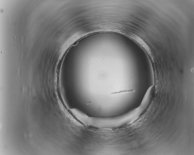 X0000087391096200704201236