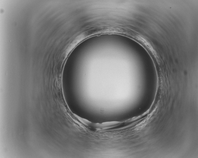 X0000087391097200704201236