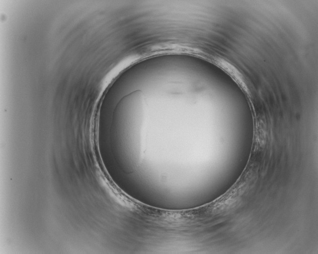 X0000087391098200704201236