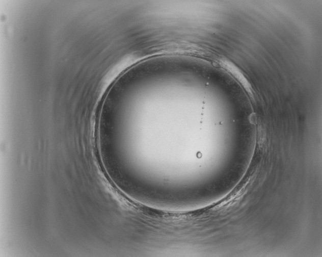 X0000087391099200704201236