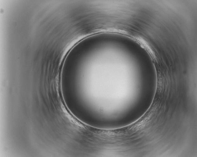 X0000087391100200704201236