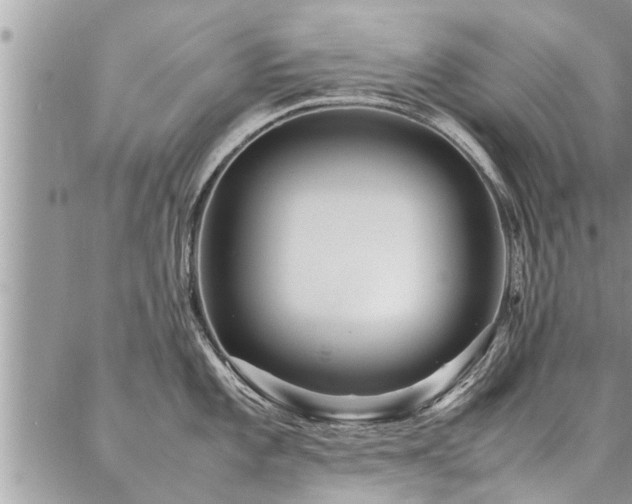 X0000087391101200704201236