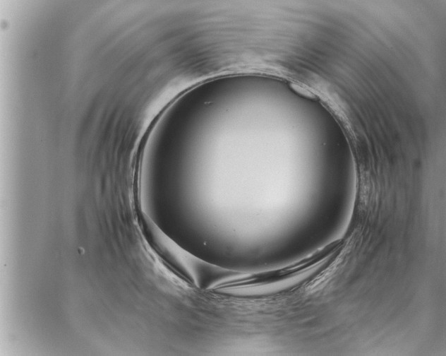 X0000087391102200704201236