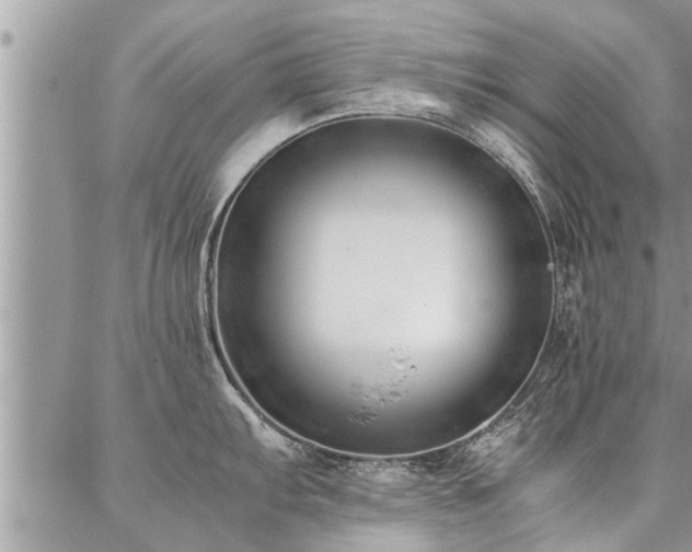 X0000087391103200704201236