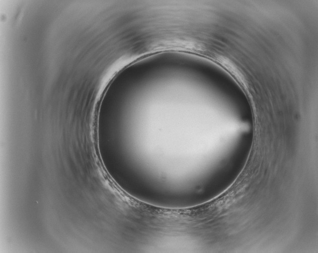 X0000087391104200704201236