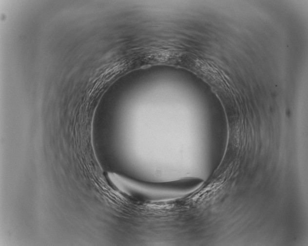 X0000087391105200704201235