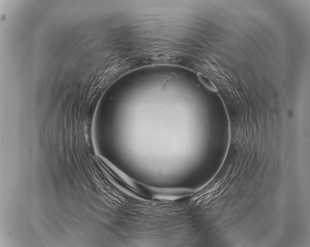 X0000087391106200704201235