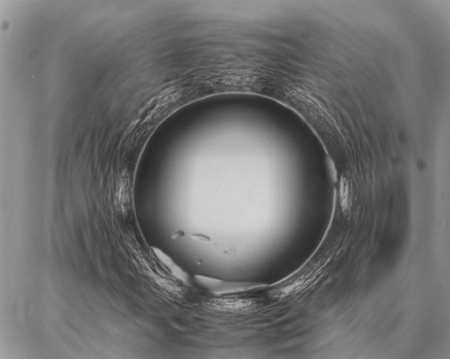 X0000087391107200704201235