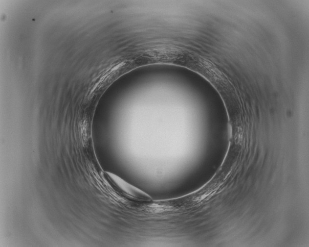 X0000087391108200704201235