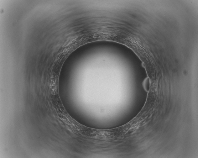 X0000087391109200704201235