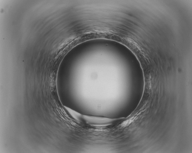 X0000087391110200704201235