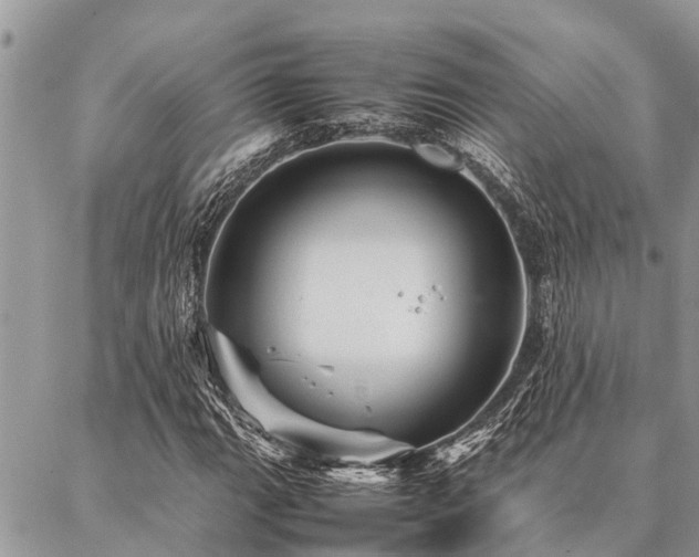 X0000087391111200704201235