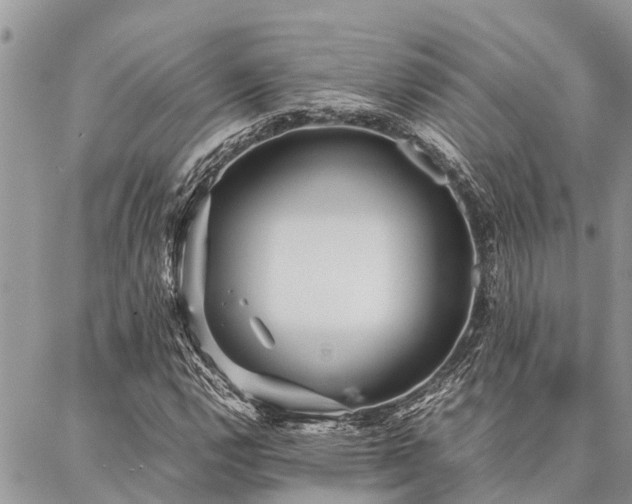 X0000087391112200704201235