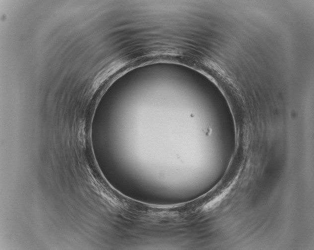 X0000087391113200704201235