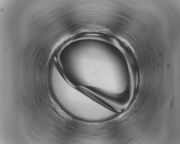 X0000087391114200704201235