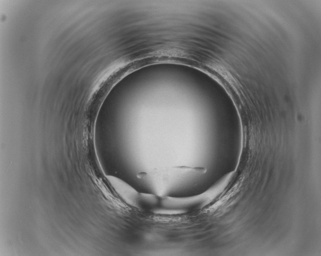 X0000087391115200704201235