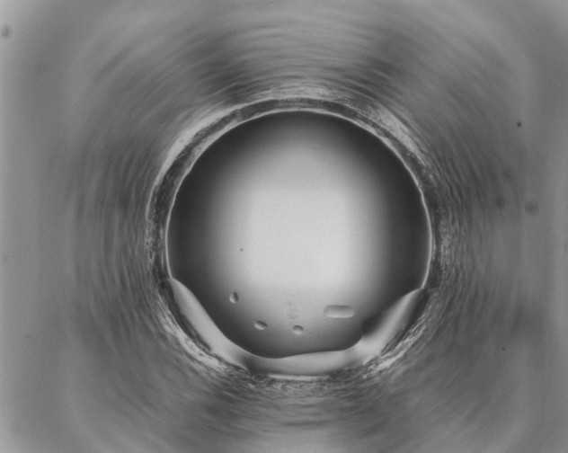 X0000087391116200704201235