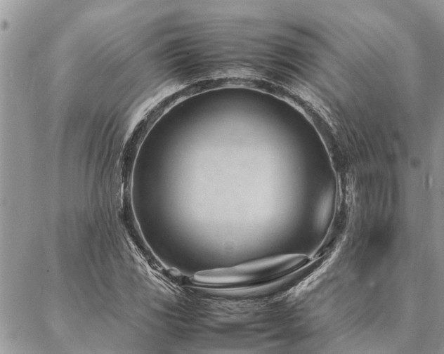 X0000087391117200704201235