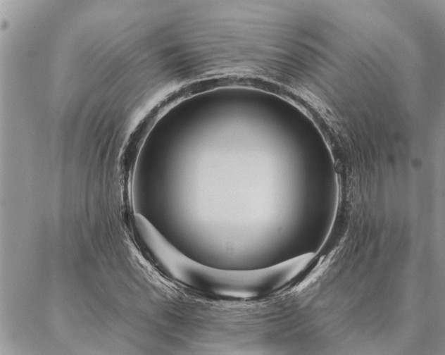 X0000087391118200704201235