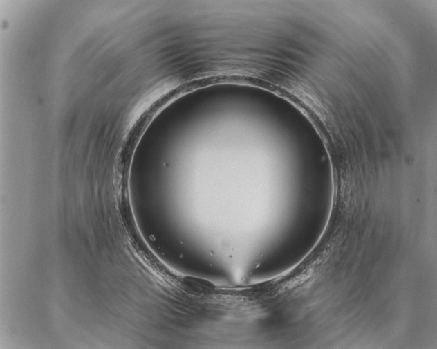 X0000087391119200704201235