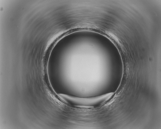 X0000087391120200704201235