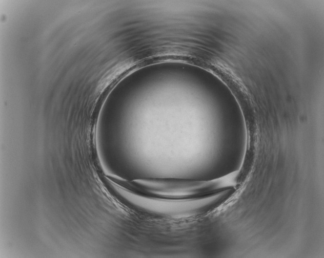 X0000087391121200704201235