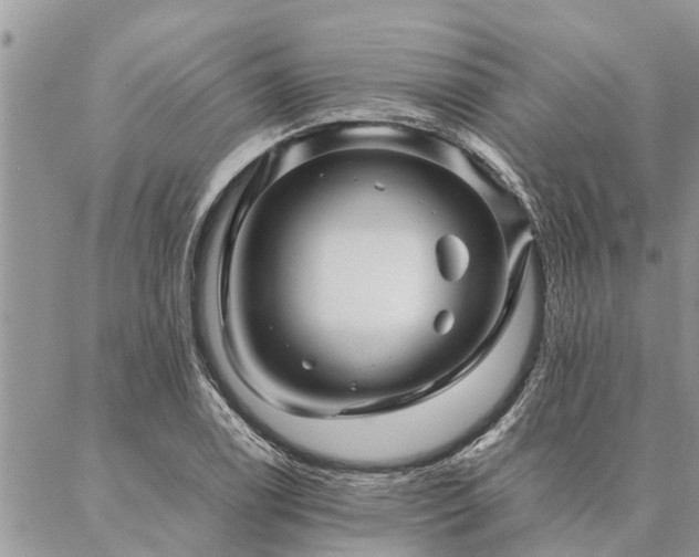 X0000087391122200704201235