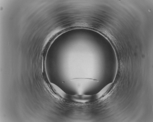 X0000087391123200704201235