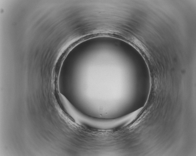 X0000087391124200704201235