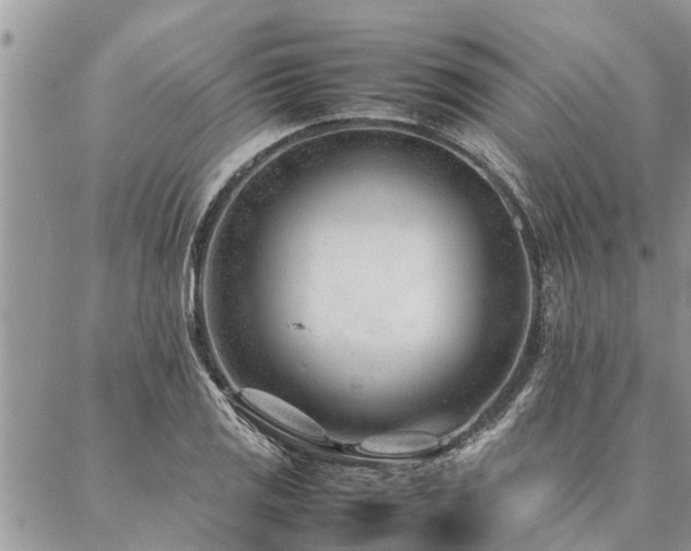 X0000087391125200704201235