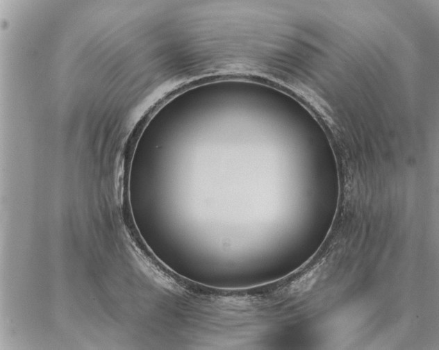 X0000087391126200704201235