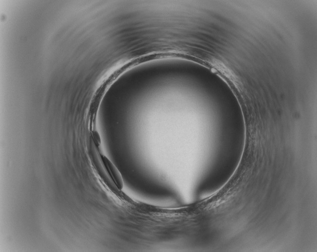 X0000087391127200704201235