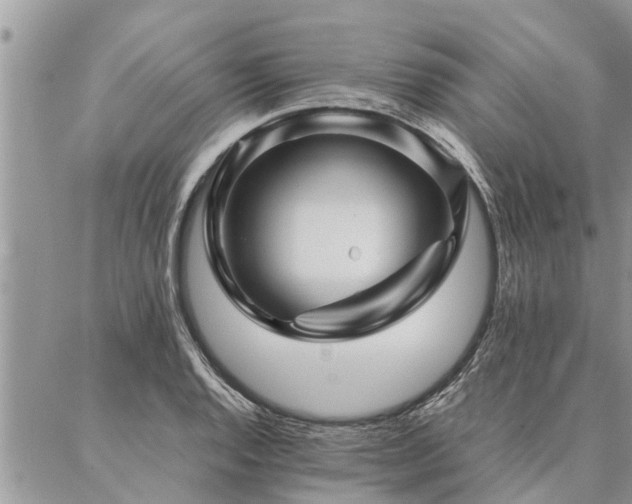 X0000087391128200704201235