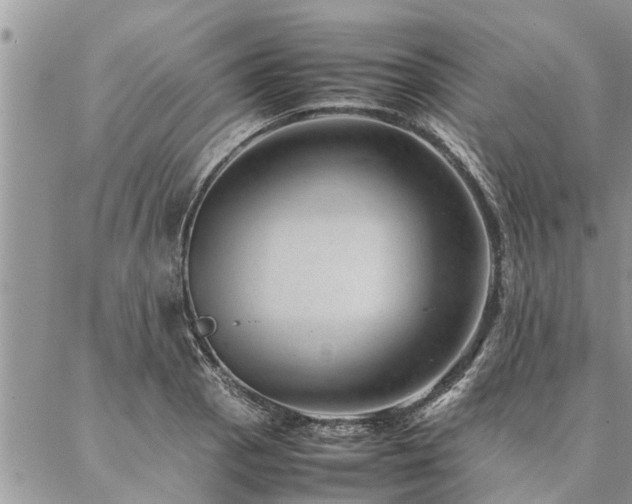 X0000087391129200704201235